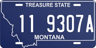 MT license plate 119307A