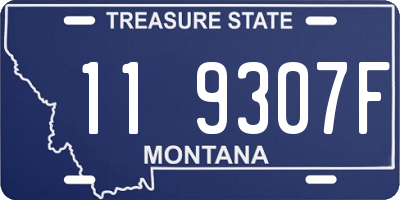 MT license plate 119307F