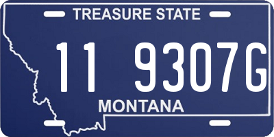 MT license plate 119307G
