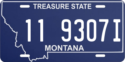 MT license plate 119307I