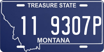 MT license plate 119307P