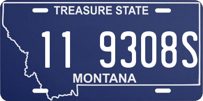 MT license plate 119308S