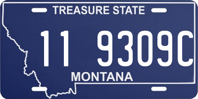 MT license plate 119309C