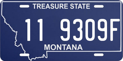 MT license plate 119309F