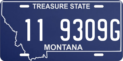 MT license plate 119309G