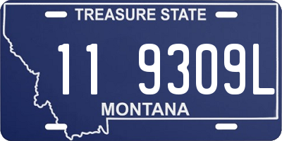 MT license plate 119309L