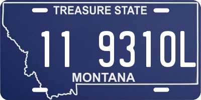 MT license plate 119310L