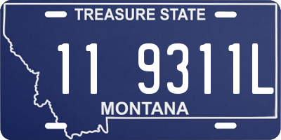 MT license plate 119311L