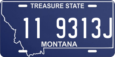 MT license plate 119313J