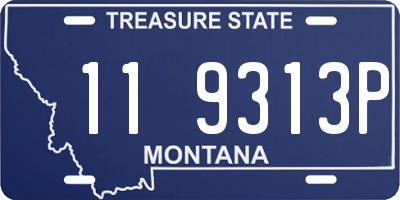 MT license plate 119313P