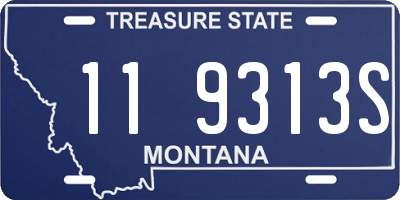 MT license plate 119313S