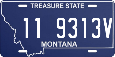 MT license plate 119313V