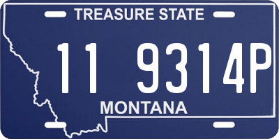 MT license plate 119314P