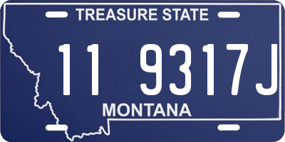 MT license plate 119317J