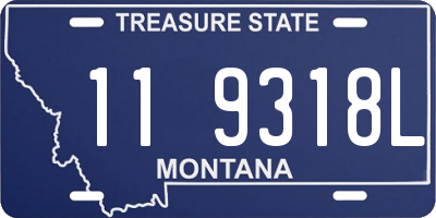 MT license plate 119318L