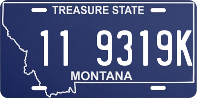 MT license plate 119319K