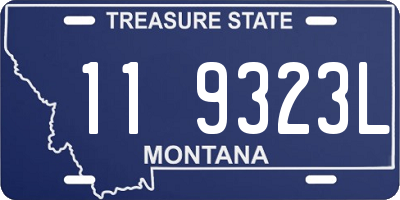 MT license plate 119323L