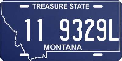 MT license plate 119329L