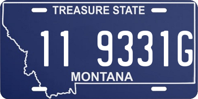 MT license plate 119331G