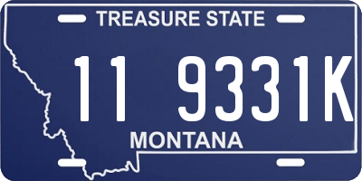 MT license plate 119331K