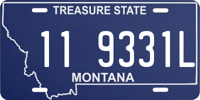MT license plate 119331L