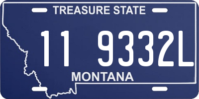 MT license plate 119332L