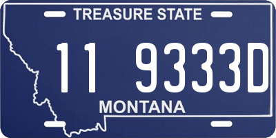 MT license plate 119333D