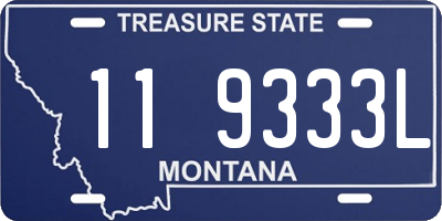 MT license plate 119333L