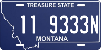 MT license plate 119333N
