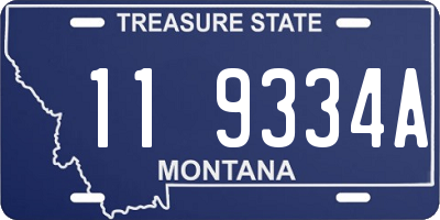 MT license plate 119334A