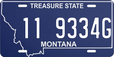 MT license plate 119334G