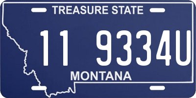 MT license plate 119334U