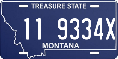 MT license plate 119334X