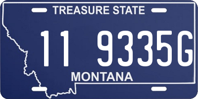 MT license plate 119335G