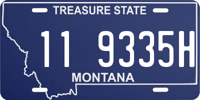 MT license plate 119335H