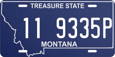 MT license plate 119335P