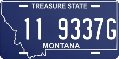 MT license plate 119337G