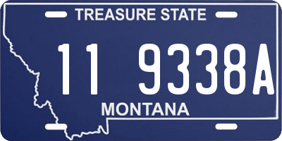 MT license plate 119338A