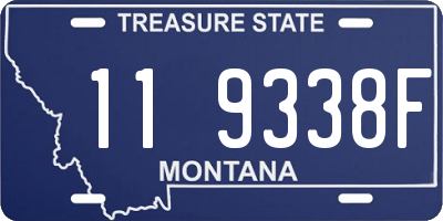 MT license plate 119338F