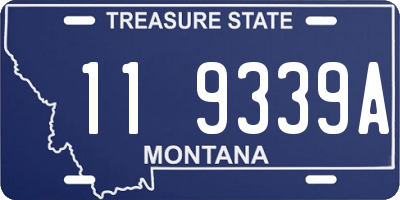 MT license plate 119339A