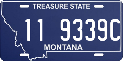 MT license plate 119339C