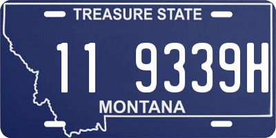 MT license plate 119339H