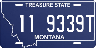 MT license plate 119339T