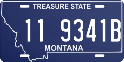 MT license plate 119341B