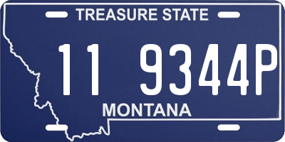 MT license plate 119344P