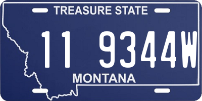 MT license plate 119344W