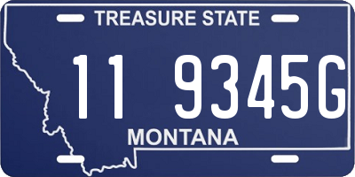 MT license plate 119345G