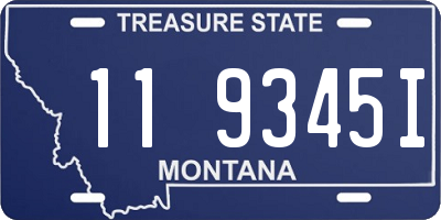 MT license plate 119345I