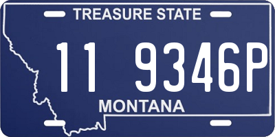 MT license plate 119346P