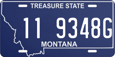 MT license plate 119348G